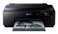 View Epson SC-P600 A3+