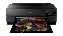 View Epson SC-P800 A2