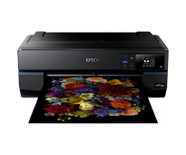 View Epson SC-P800 A2