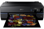 View Epson SC-P800 A2