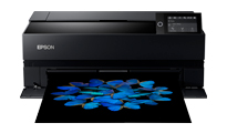 View Epson SC-P900 A2
