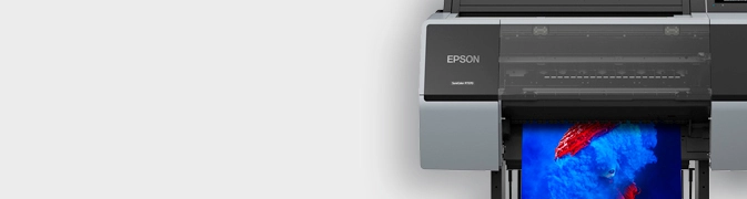 Epson SC-P7300 24" *Nuevo
