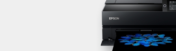 ufo rip software for epson r3000 dtg printer ufo rip software for epson r3000 dtg printer