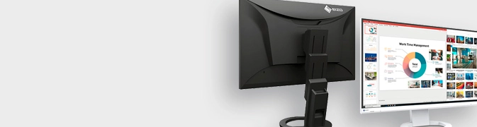 Eizo FlexScan Eizo FlexScan