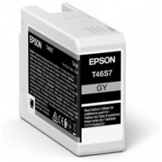 Tinta Epson T46S700 