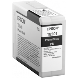 Epson T850100 