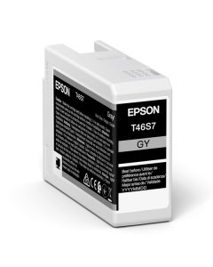 Tinta Epson T46S700